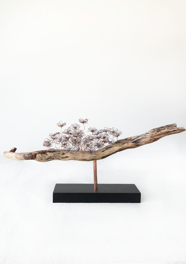 Pieza "Soltar" Lula Mena