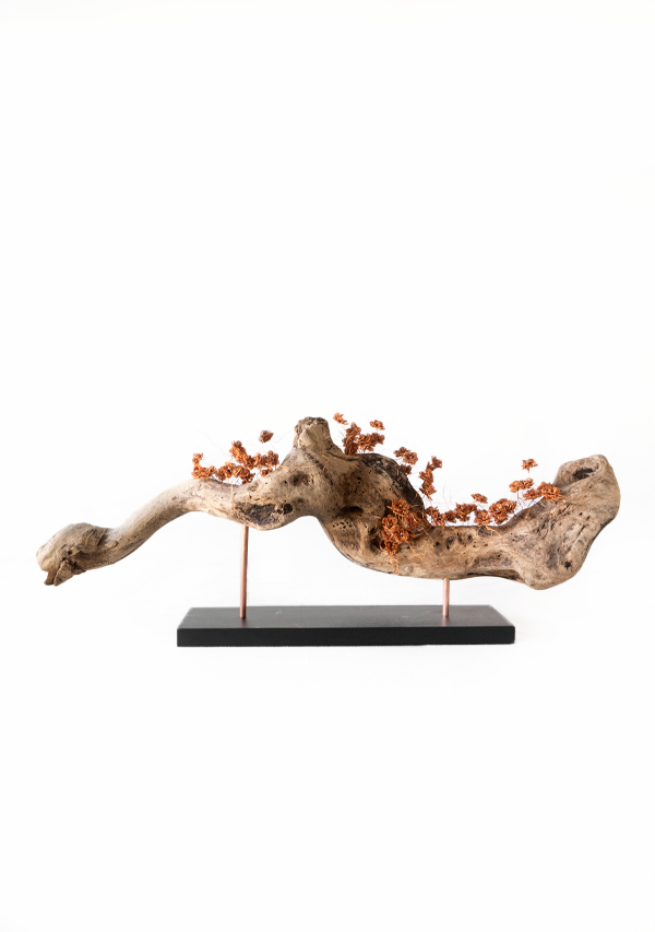 Pieza "Expansión" Lula Mena