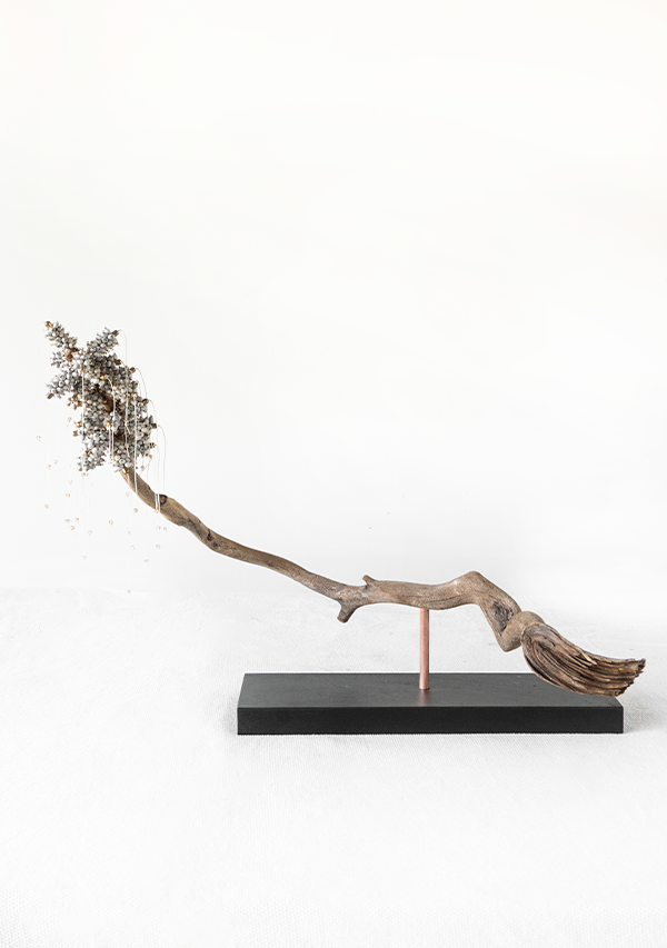 Pieza "Esperanza" Lula Mena