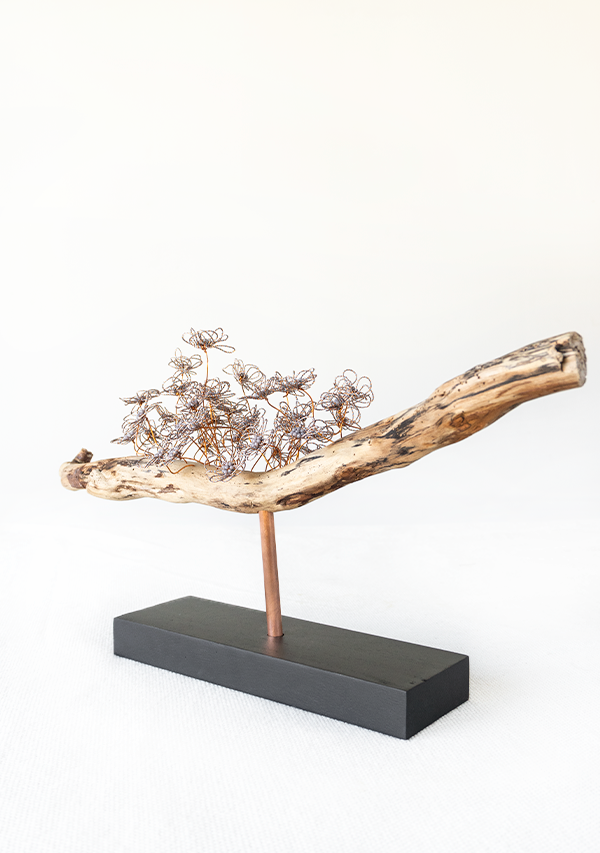 Pieza "Soltar" Lula Mena