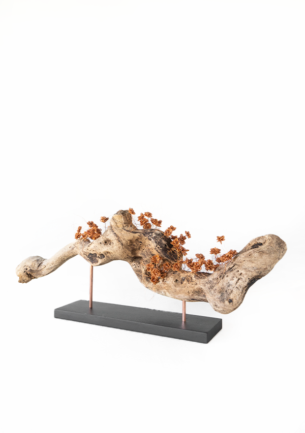 Pieza "Expansión" Lula Mena