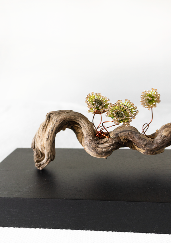 Pieza "Gozo" Lula Mena