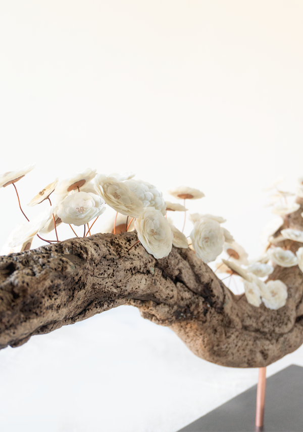 Pieza "Agradecer" Lula Mena