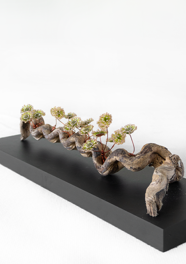 Pieza "Gozo" Lula Mena