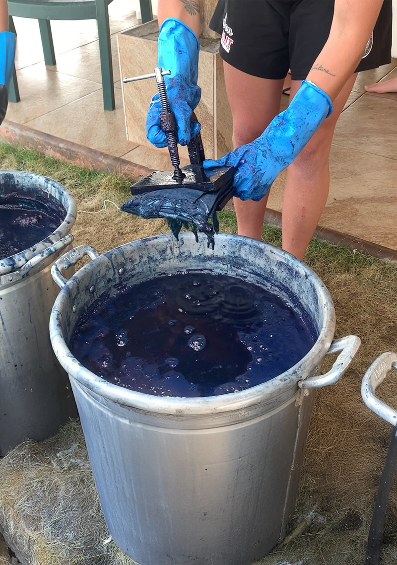 Indigo Dyed Lula Mena